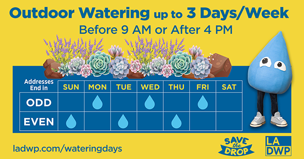 Watering Days